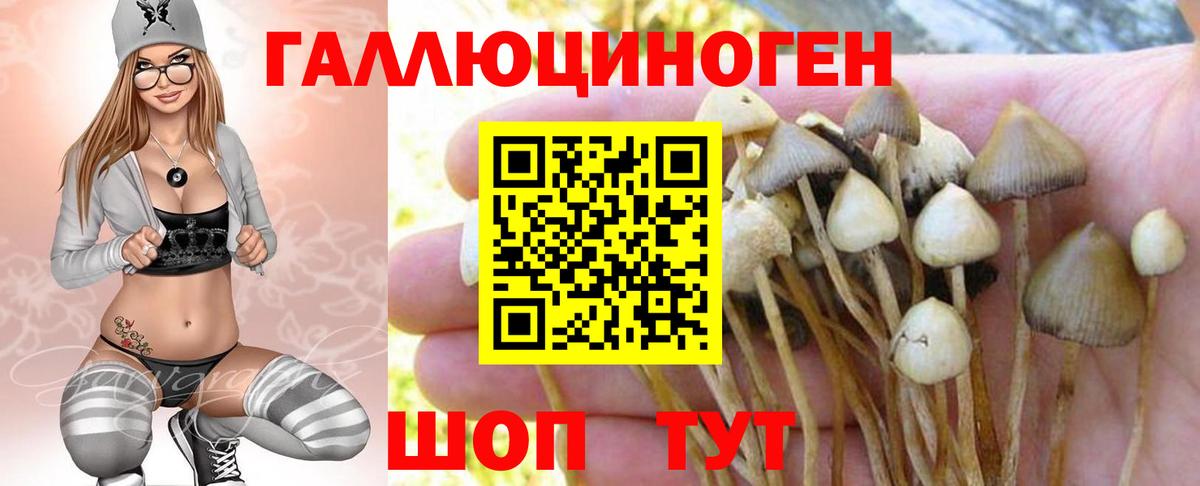 Красноармейск  цена наркотик  Вход с VPN  Галлюциногенные грибы мицелий 