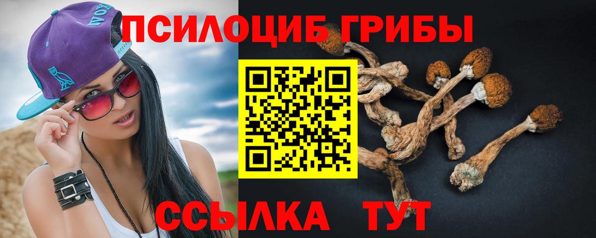 Псилоцибиновые грибы MAGIC MUSHROOMS Красноармейск